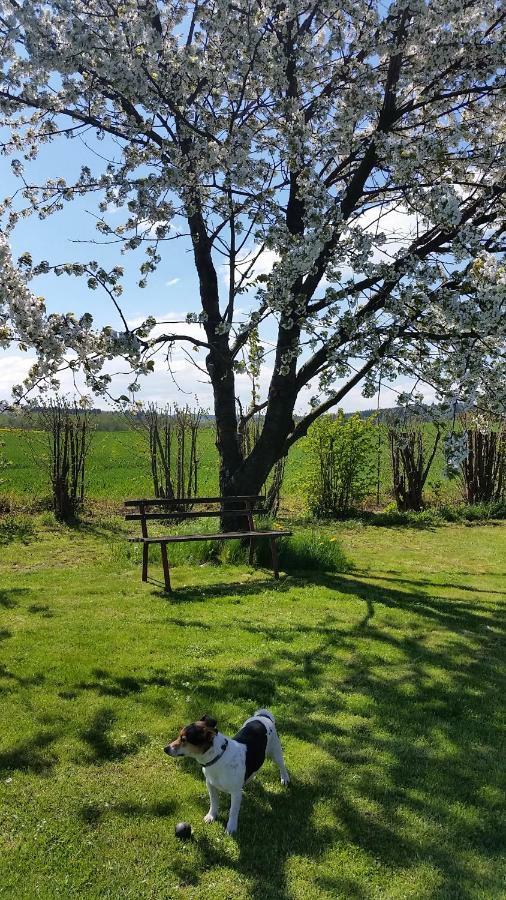Ferienhaus Stolle Lawalde Bagian luar foto
